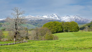 Avocat Mont-de-Marsan